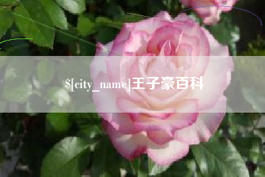 高密王子豪百科