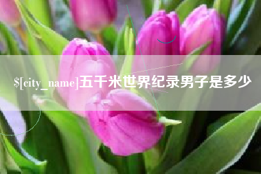 高密五千米世界纪录男子是多少