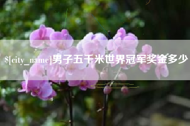 高密男子五千米世界冠军奖金多少