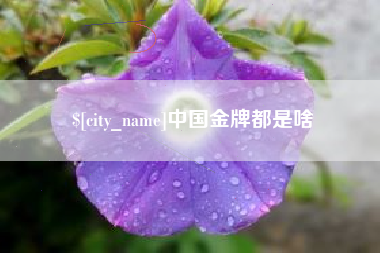 高密中国金牌都是啥