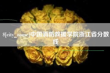 高密中国消防救援学院浙江省分数线