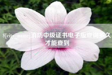 高密消防中级证书电子版查询多久才能查到