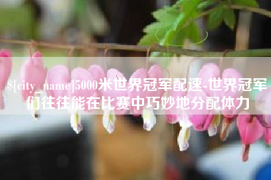 高密5000米世界冠军配速-世界冠军们往往能在比赛中巧妙地分配体力