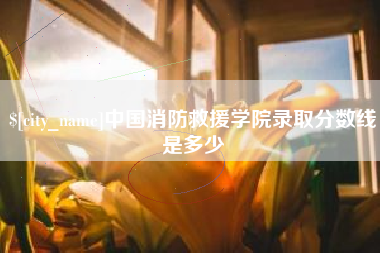 高密中国消防救援学院录取分数线是多少