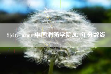 高密中国消防学院2024年分数线
