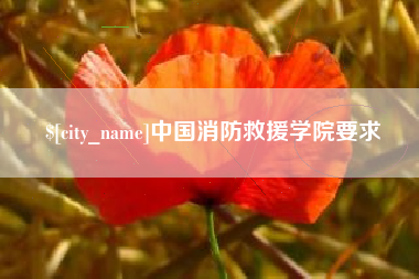 高密中国消防救援学院要求