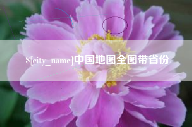 高密中国地图全图带省份