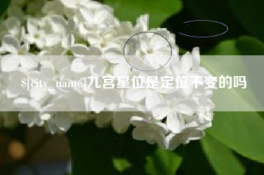 高密九宫星位是定位不变的吗