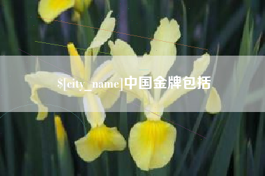 高密中国金牌包括