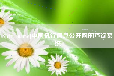 高密中国执行信息公开网的查询系统