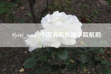 高密中国消防救援学院航拍
