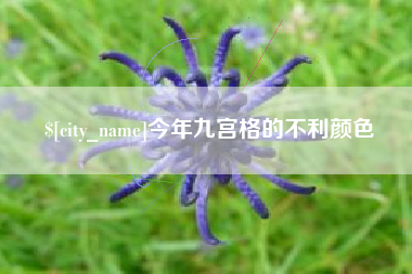 高密今年九宫格的不利颜色