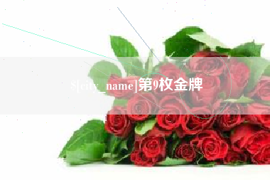 高密第9枚金牌