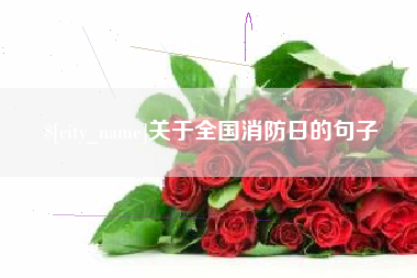 高密关于全国消防日的句子