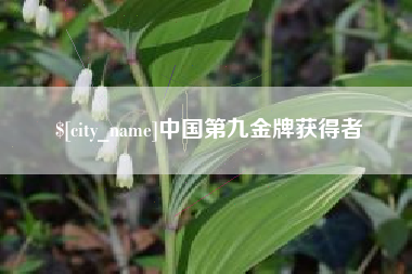 高密中国第九金牌获得者