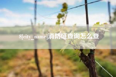 高密消防证查询怎么查