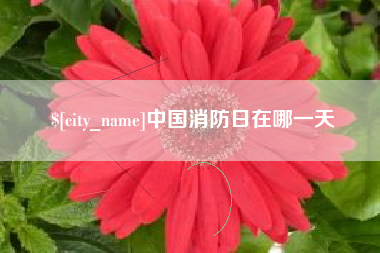 高密中国消防日在哪一天
