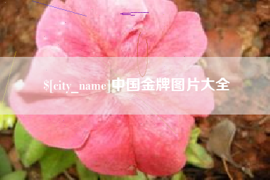 高密中国金牌图片大全