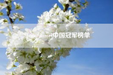 高密中国冠军榜单
