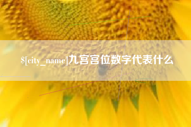 高密九宫宫位数字代表什么