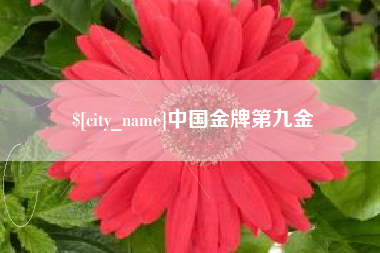 高密中国金牌第九金