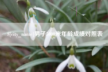 高密男子5000米年龄成绩对照表