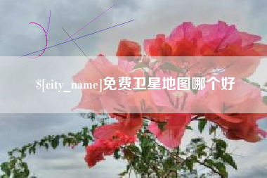 高密免费卫星地图哪个好