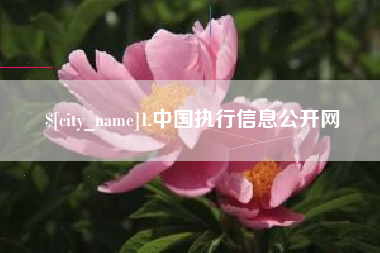 高密1.中国执行信息公开网