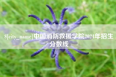 高密中国消防救援学院2024年招生分数线