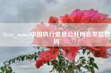 高密中国执行信息公开网会发信息吗