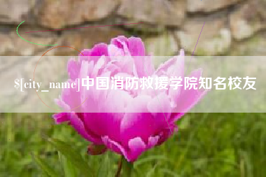 高密中国消防救援学院知名校友