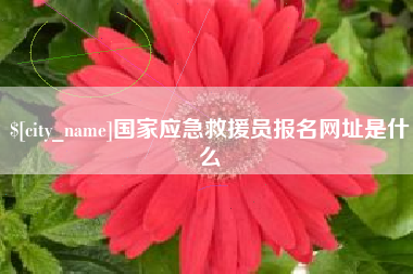 高密国家应急救援员报名网址是什么