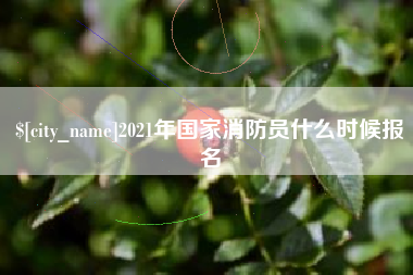 高密2021年国家消防员什么时候报名