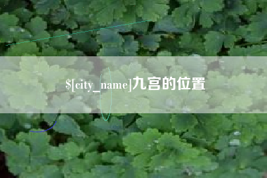 高密九宫的位置