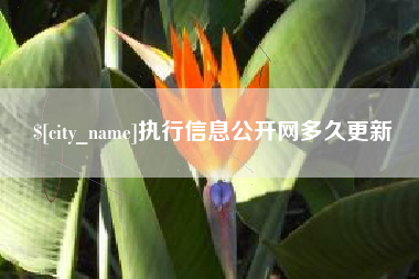 高密执行信息公开网多久更新