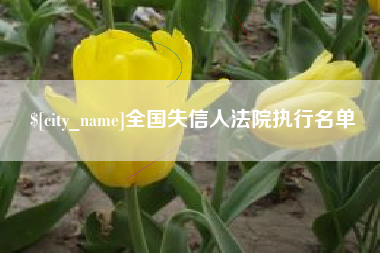 高密全国失信人法院执行名单