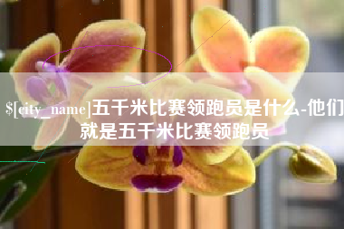 高密五千米比赛领跑员是什么-他们就是五千米比赛领跑员