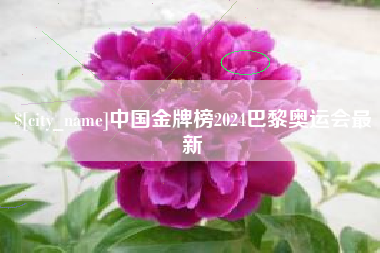 高密中国金牌榜2024巴黎奥运会最新