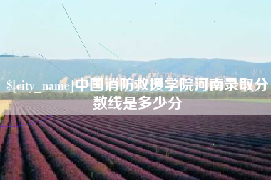 高密中国消防救援学院河南录取分数线是多少分