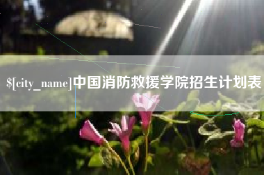 高密中国消防救援学院招生计划表