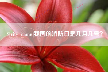 高密我国的消防日是几月几号？