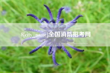 高密全国消防招考网