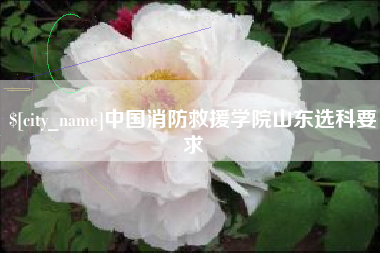高密中国消防救援学院山东选科要求