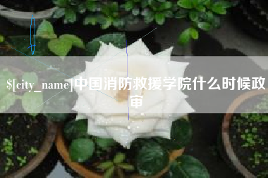 高密中国消防救援学院什么时候政审