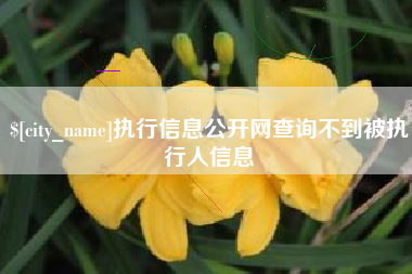 高密执行信息公开网查询不到被执行人信息