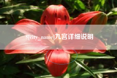 高密九宫详细说明