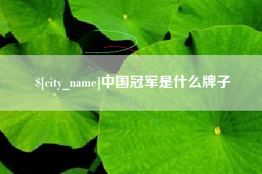 高密中国冠军是什么牌子