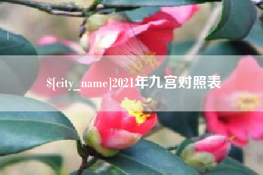 高密2021年九宫对照表
