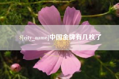 高密中国金牌有几枚了