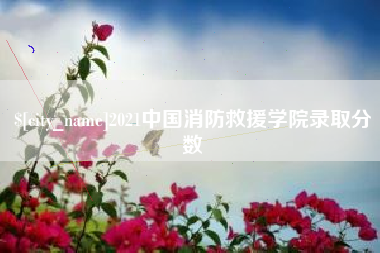 高密2021中国消防救援学院录取分数